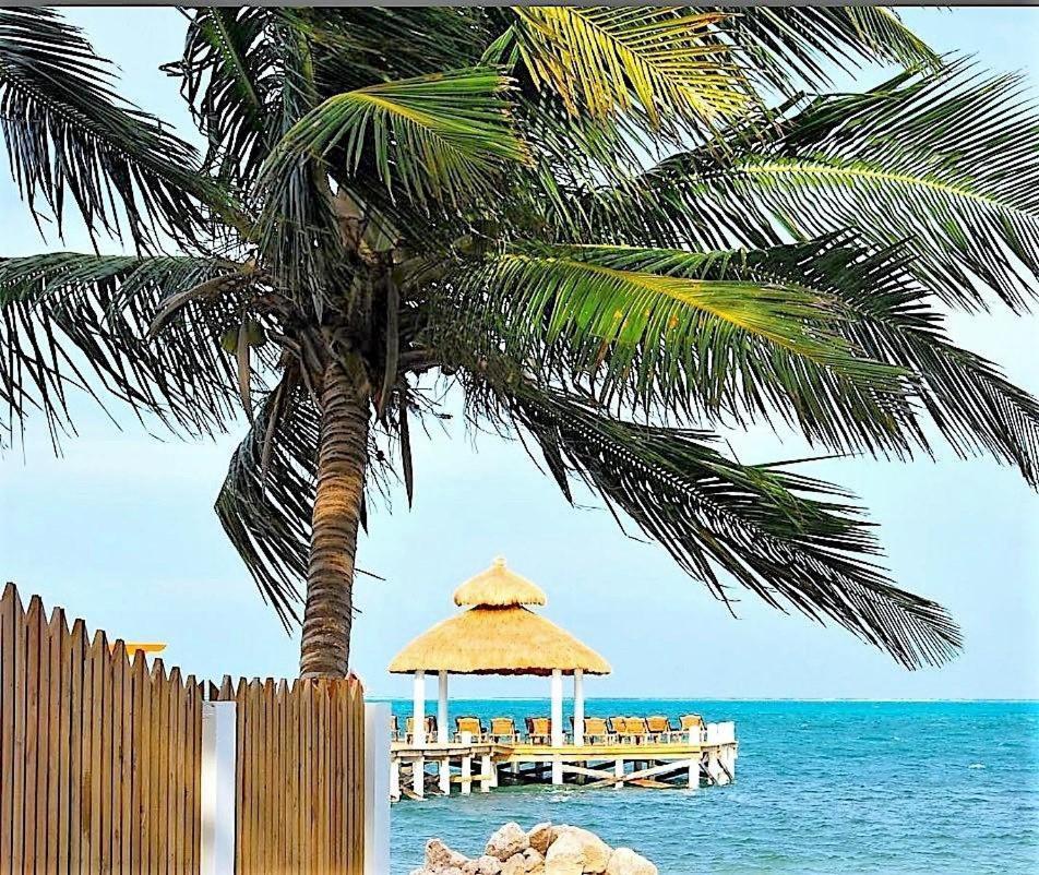 Velento Partial Ocean View Penthouse #7 Villa Caye Caulker Eksteriør bilde